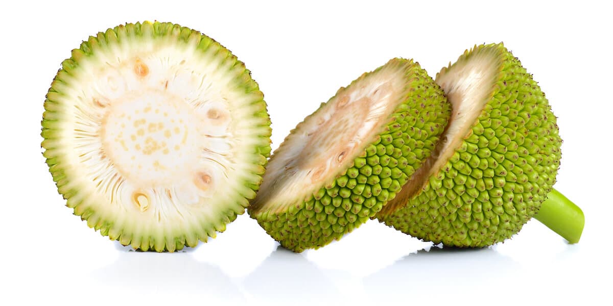 Jackfruit
