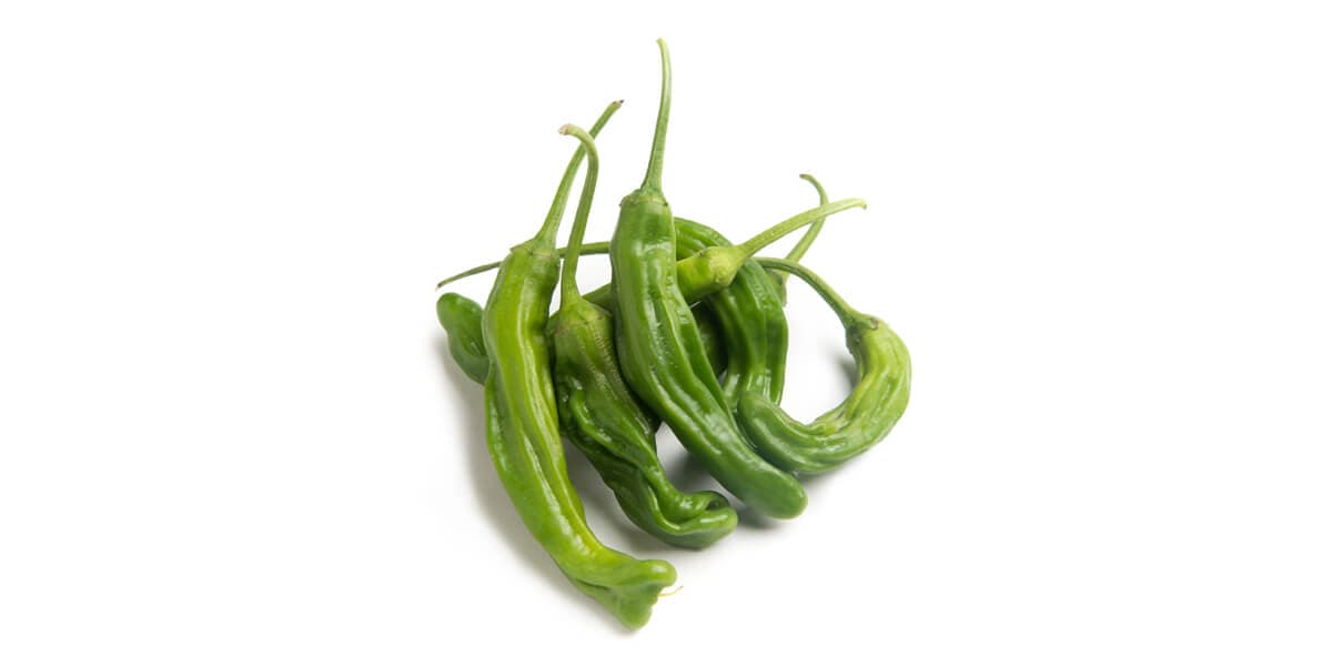 Shishito Peppers