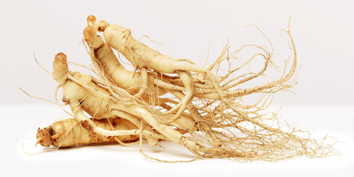 Ginseng