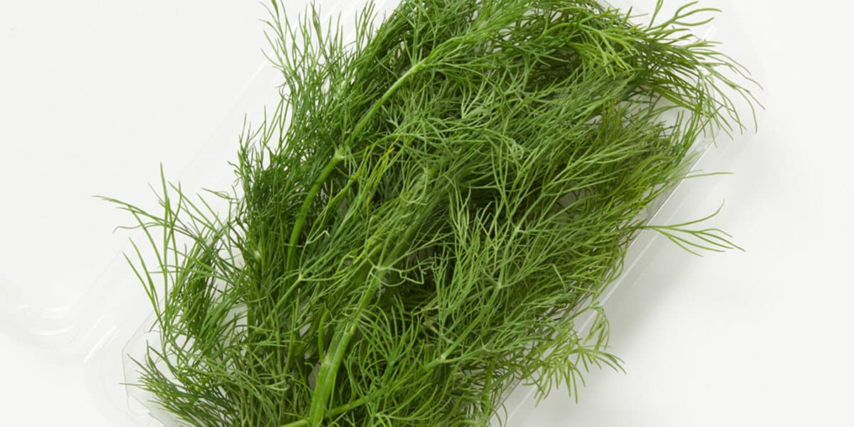 Dill