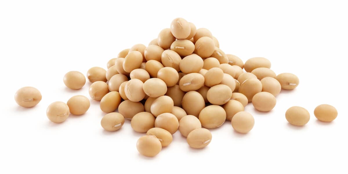 soya beans