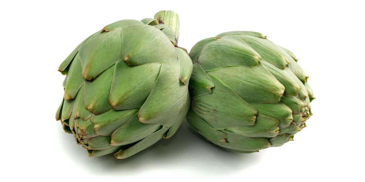 Fresh Artichoke