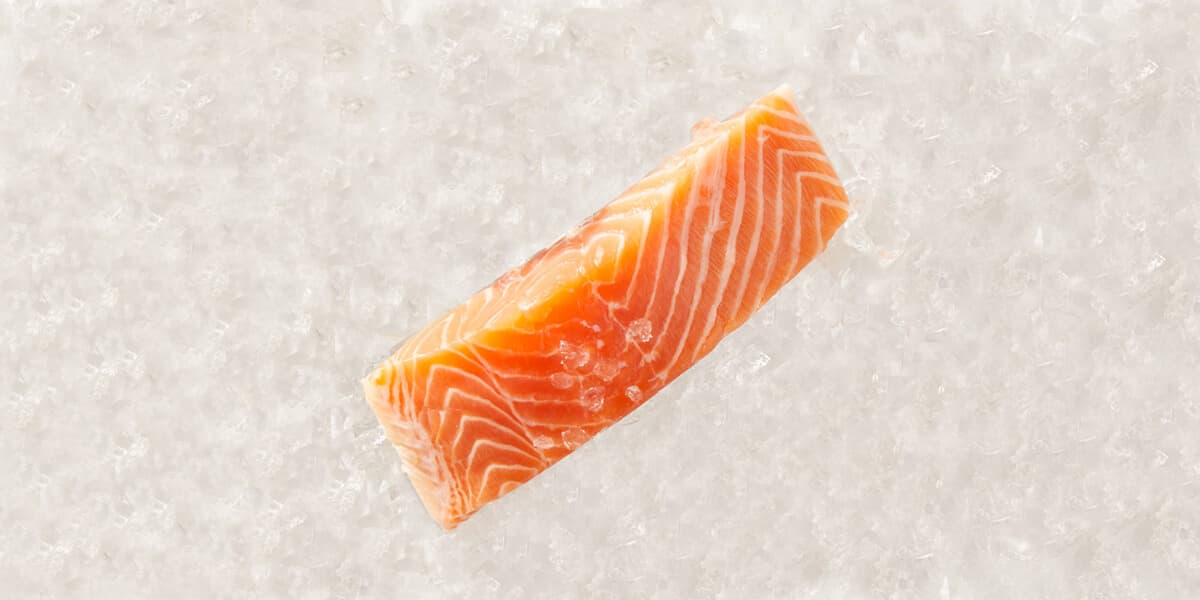 Salmon