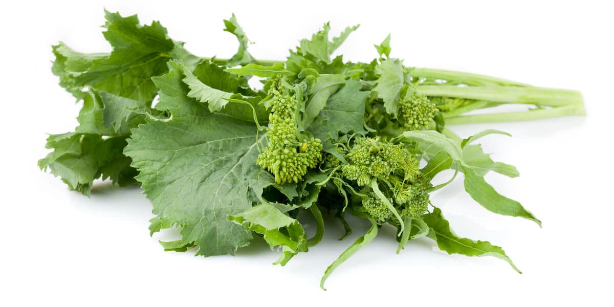 Fresh Rapini